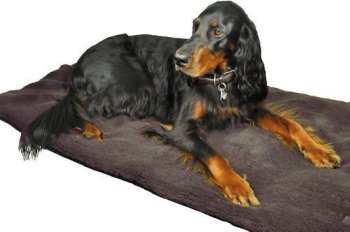 NEU Hundedecke XXL mit gefütterte Faserpelzdecke waschbar 95 x 140 HUBERTUS