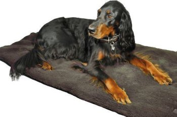 NEU Hundedecke mit gefütterte Faserpelzdecke waschbar HUBERTUS 70 x 100 cm