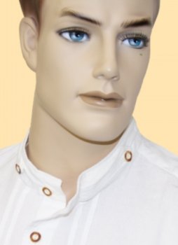 Preview: 120003-0008 - Trachtenhemd mit Stehkragen und Hirschhornknöpfen